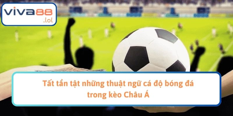 Tất tần tật những thuật ngữ cá độ bóng đá trong kèo Châu Á