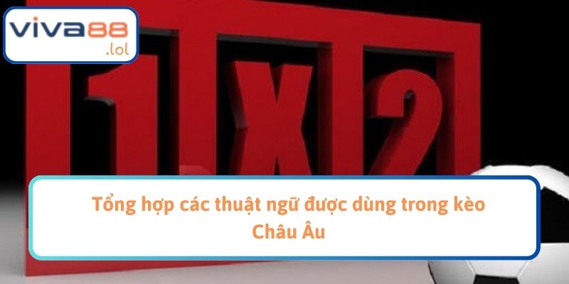 Tổng hợp các thuật ngữ được dùng trong kèo Châu Âu