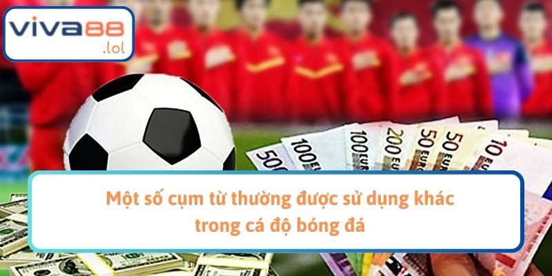 Một số cụm từ thường được sử dụng khác trong cá độ bóng đá