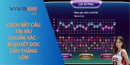 cach-bat-cau-tai-xiu