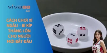 cach-choi-xi-ngau