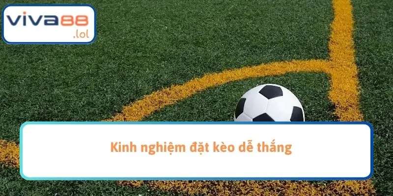Kinh nghiệm đặt kèo dễ thắng