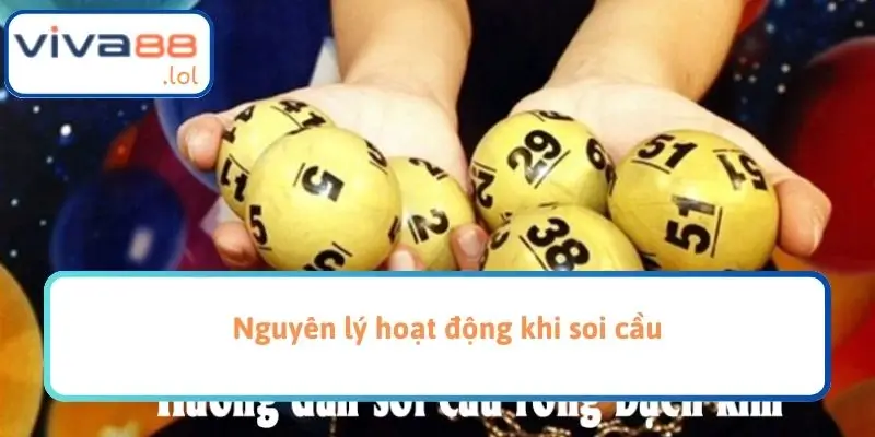 Nguyên lý hoạt động khi soi cầu